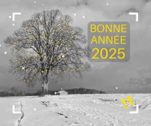 Bonne année 2025 - voeux Viviant Terrains - terrains à bâtir 38