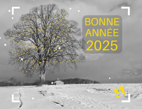 Bonne année !