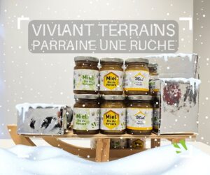 viviant terrains - parrainage ruche - protection des abeilles - 2024 1