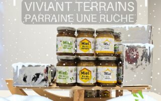 viviant terrains - parrainage ruche - protection des abeilles - 2024 1