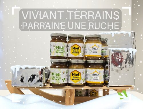 VIVIANT Terrains parraine une ruche pour la préservation des abeilles